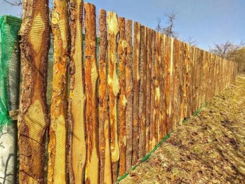 Дешево и сердито! 01