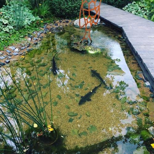 Хотите стильный сад на радость себе и зависть соседям? 09