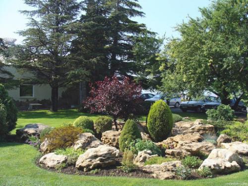 Клумбы с астрами и петуниями надоели? 05