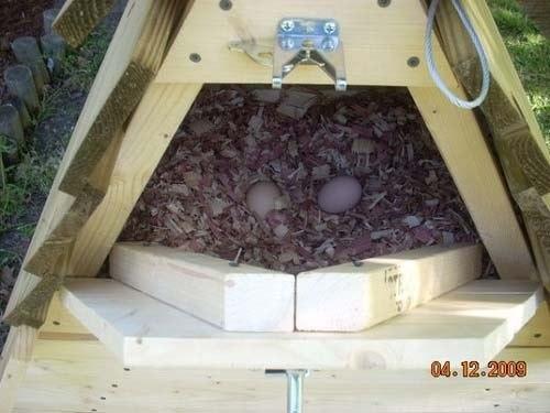 Мини курятник сам сделай. 08
