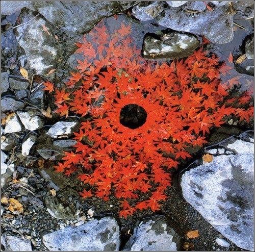 Ленд - арт (от англ. 06