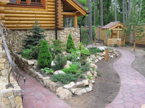 Клумбы с астрами и петуниями надоели? 03