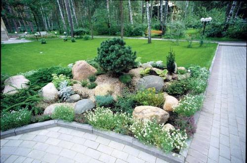 Клумбы с астрами и петуниями надоели? 04