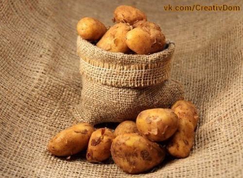 Планы дачника на август. 02