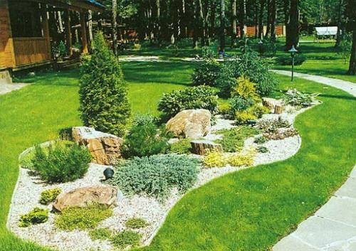 Клумбы с астрами и петуниями надоели? 02