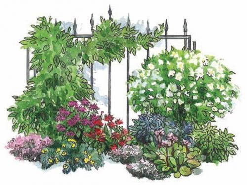 Идеи для овощных, декоративных и пряных цветников. 02 Идеи для овощных, декоративных и пряных цветников. 02