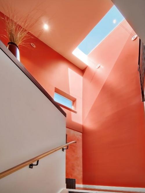 Коралловый цвет жизнеутверждающим считается. 05