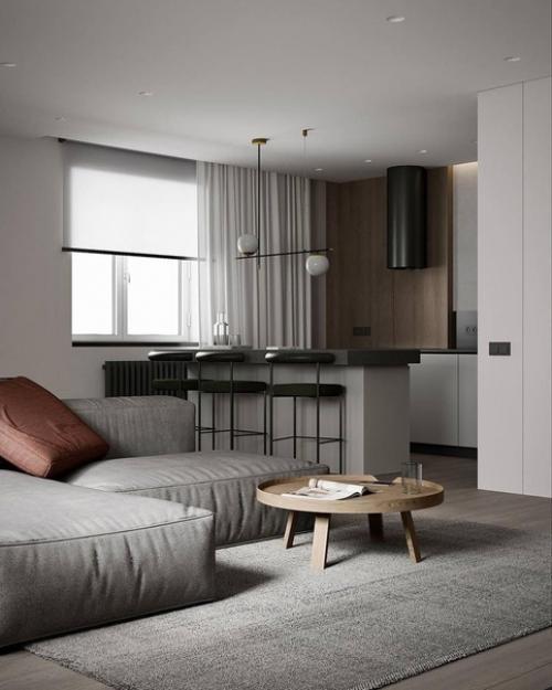 Интерьер, в котором нет ничего лишнего, нет каких-то ярких вещей, которые портили бы красивый дизайн квартиры. 01